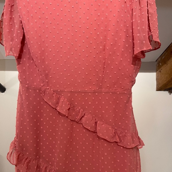 Rusty Rose Swiss Dot Ruffled Mini Dress - Picture 9 of 10